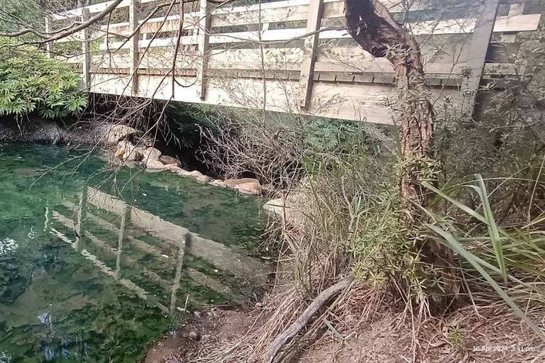 Gran Barrera: Remojo y Paseo Privado por las Aguas Termales de Kaitoke