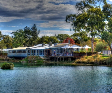 Barossa and Hahndorf Hill Tour