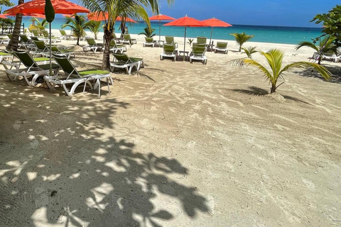 Negril: 7 Mile Beach, Weed Farm, and Rick's Cafe Tour