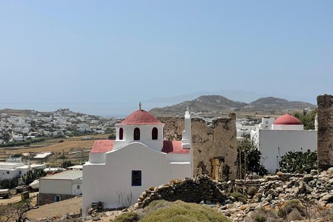 Private Mykonos Tour Tailor-Made | Choice of the guest 2-Hour Private customized tour