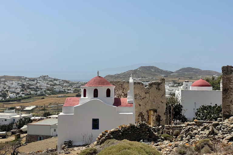 Private Mykonos Tour Tailor-Made | Choice of the guest 2-Hour Private customized tour