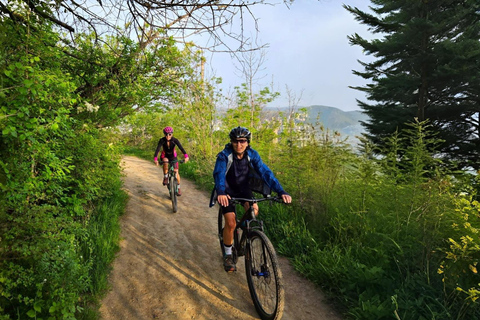 Tbilisi Bike Tour: Peace Bridge, Old Town & Sameba Views