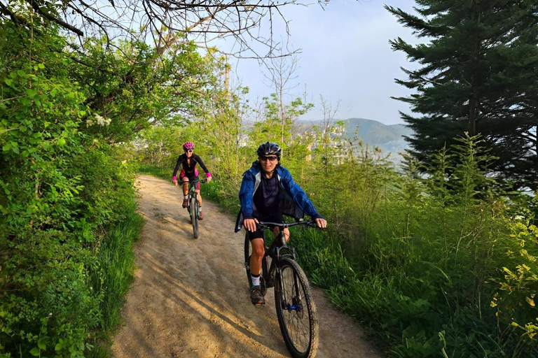 Tbilisi Bike Tour: Peace Bridge, Old Town & Sameba Views