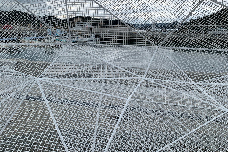 Naoshima Island Cycling Adventure: Private Local Tour