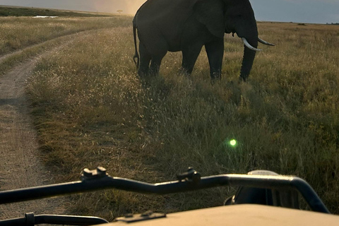Tarangire National Park Day Trip with Pickup from Arusha