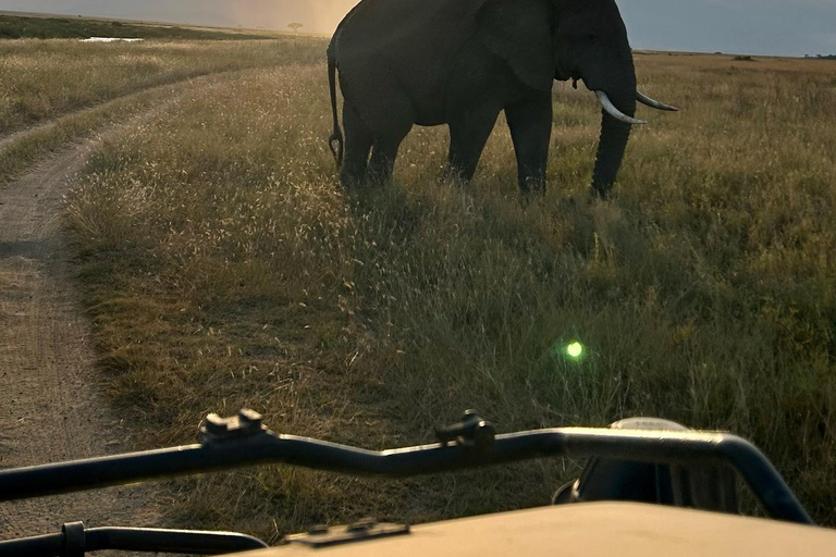 Tarangire National Park Day Trip with Pickup from Arusha