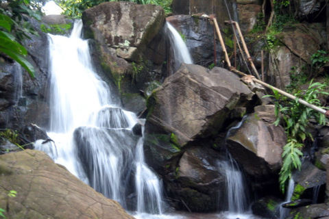 Nairobi: Karura and Oloolua Forests Guided Day Tour Private 2 pax