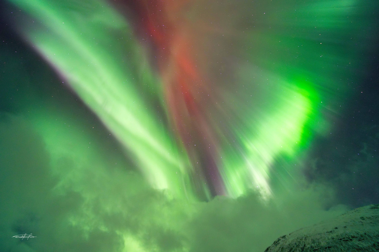 Tromsø | The OFFICIAL Northern Lights Safari Company