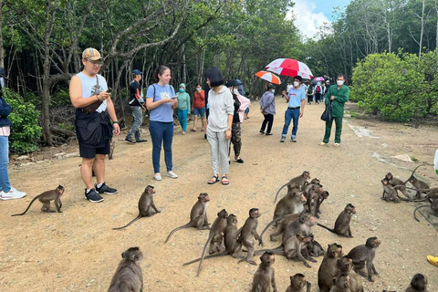 From Ho Chi Minh City: Can Gio Monkey Island 1-Day Tour Regular Group Tour: Ho Chi Minh City to Can Gio & Lunch