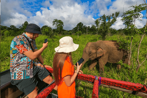 Habarana: Safari di mezza giornata all&#039;Hurulu Eco Park con servizio di prelievo in hotel