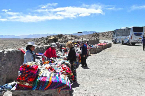 Route Chivay - Puno | Patapampa - wetlands