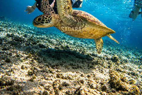 Gili Meno: Private Snorkeling Tour with GoPro Footage