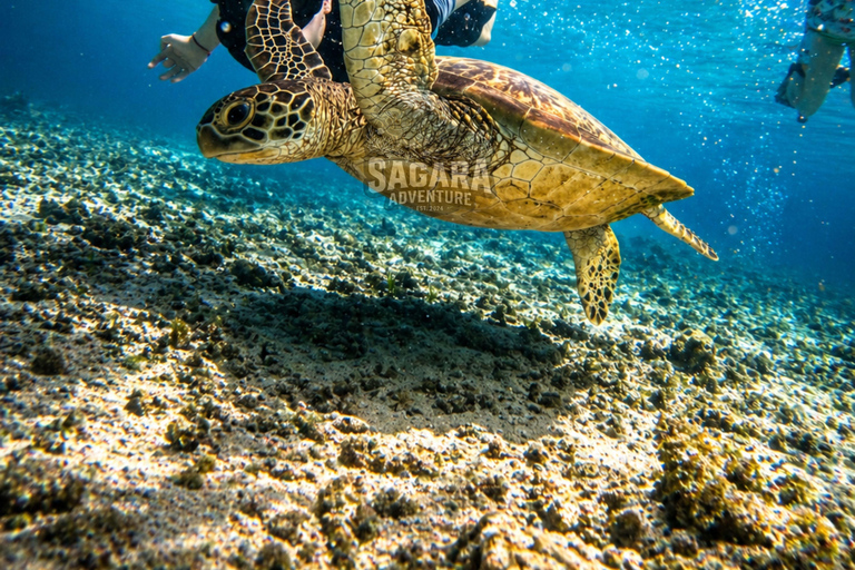 Gili Meno: Private Snorkeling Tour with GoPro Footage