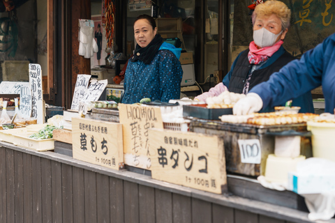 From Tokyo: Mount Fuji and Hakone Private Customizable Trip From Tokyo: Mount Fuji and Hakone Full Customizable Trip