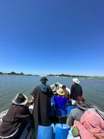 Comporta aan Alcacer Do Sal Boat Trip - Housity