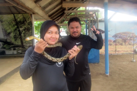 Bali: Mit dem Glasbodenboot zur SchildkröteninselGlasbodenboot zur Schildkröteninsel mit Abholung