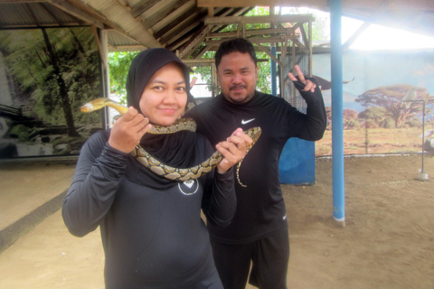 Bali: Turtle Island Glass-Bottom Boat TourTour with Pickup