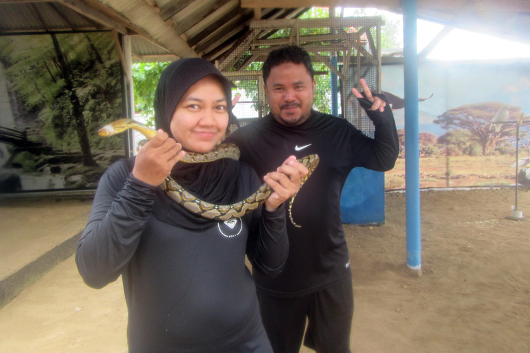 Bali: Ervaring met boot met glazen bodem naar SchildpaddeneilandBoot met glazen bodem naar Schildpaddeneiland met pick-up