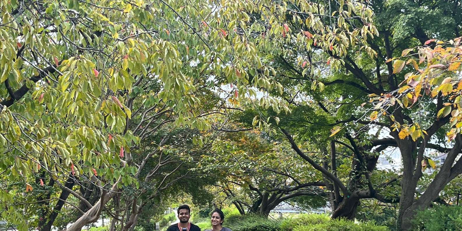 Kyoto experience — temples, geisha, bamboo grove — image 52