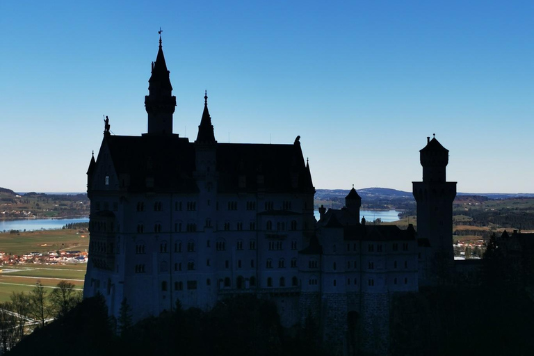 Vanuit München: Neuschwanstein en kerstmarkttour München