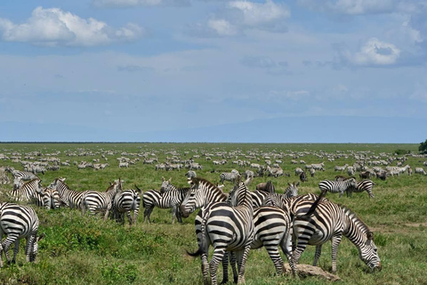 1-Day Private Ngorongoro Crater Tour