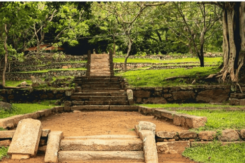 Anuradhapura: Tuk Tuk Tour with Temples & Hidden Stories Standard Package (Budget Option)