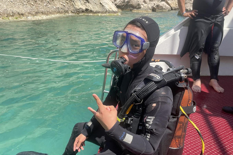 Side: Underwater Museum Scuba Diving Tour with Expert Diving Museum Scuba Diving Tour with Hotel Transfer