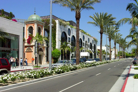 Los Angeles 4-Hour Private Tour: Beverly Hills & More