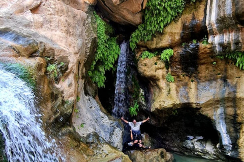 Muscat: Wadi Tiwi, Mibam, Frankincense Tree & Beach Tour