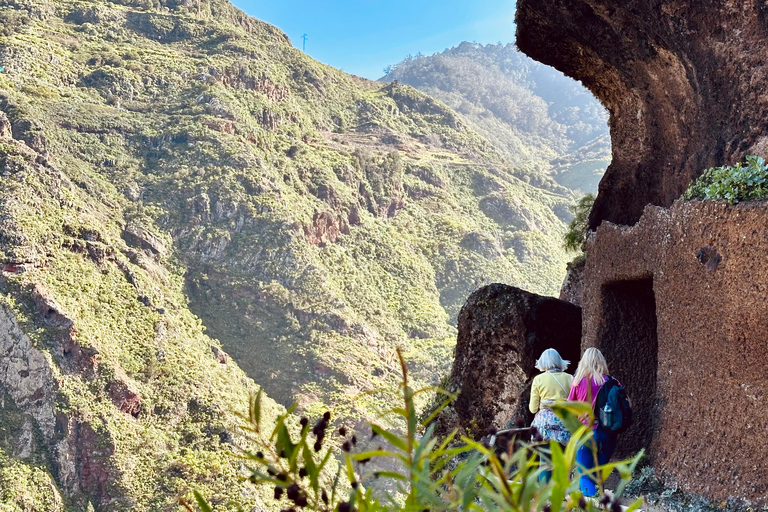 Tenerife: Anaga Hidden Gems Tour with Free Pickup Explore Anaga's hidden gem. Private tour.