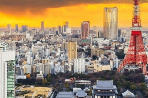 Tokyo: Private Tokyo City Day Tour Low Price Guaranteed