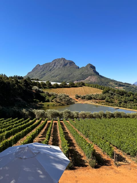 Private Wine Tour Visit Stellenbosch Franschhoek Paarl Getyourguide