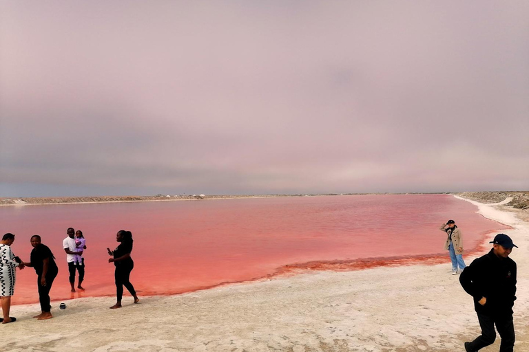 Walvis Bay Shore Excursion: Pink Lake Dune 7 Photoshoot Tour