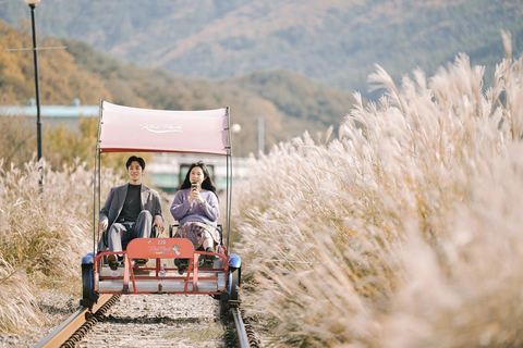 Från Seoul: Dagstur till Nami Island, Koreanska trädgården och Rail Bike