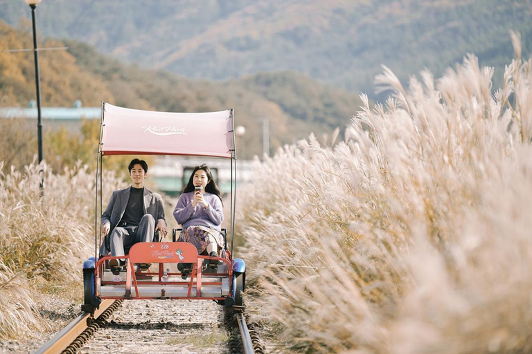 From Seoul: Nami Island, Korean Garden & Rail Bike Day Trip Private Tour with Railbike - Hotel Pickup