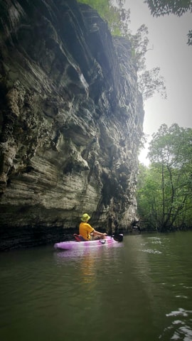 Langkawi : Mangrove Kayak Tour with Lunch (Morning)