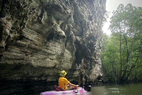 Langkawi : Excursión en kayak por los manglares con almuerzo (Mañana)