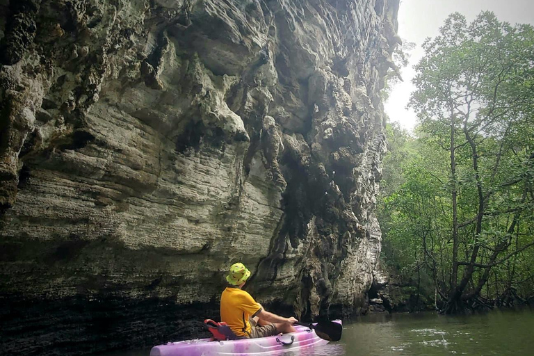 Langkawi : Passeio de caiaque pelos manguezais com almoço (manhã)