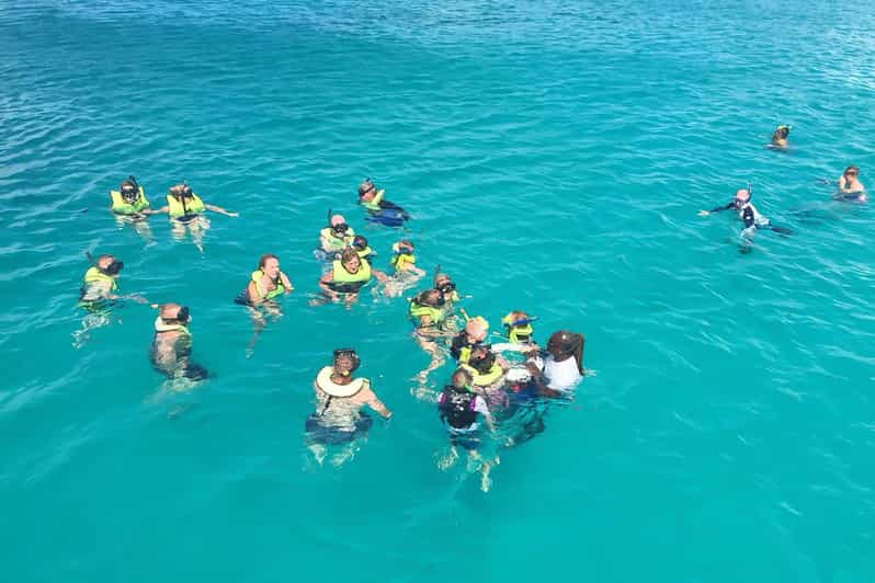 Bridgetown Crucero en barco por la bahía de Carlisle con tortugas y naufragios