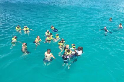 Bridgetown: Carlisle Bay Schildpadden en scheepswrakken boottocht