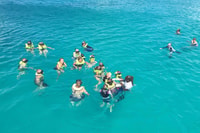 Bridgetown, Carlisle Bay Turtle et Shipwreck Boat Cruise - Housity