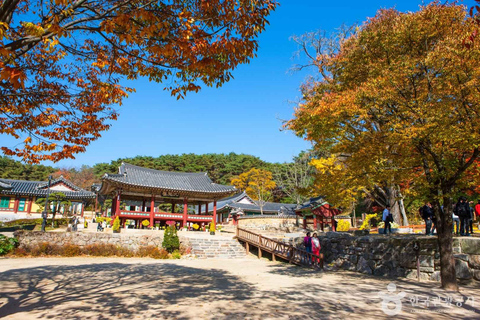 Depuis Séoul : Expérience d&#039;une journée complète au festival Ogok Naru de YeojuAu départ de Séoul : expérience d&#039;une journée complète au festival Yeoju Ogok Naru