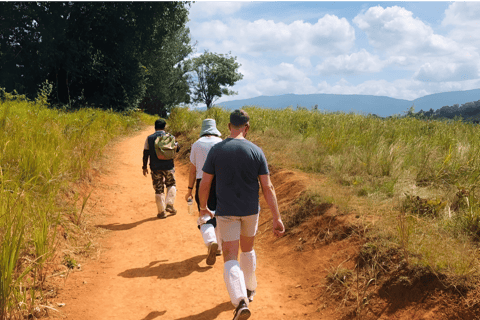 Banguecoque: Excursão a pé em pequenos grupos ao Parque Nacional de Khao YaiTour particular com serviço de busca no hotel e traslado de ida e volta