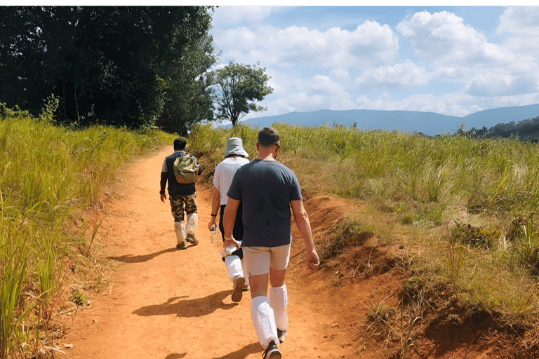 Bangkok: Tour a piedi per piccoli gruppi del Parco Nazionale di Khao YaiTour privato con servizio di prelievo e rientro in hotel