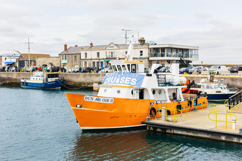 Dublin: Dublin Bay, Howth Coast and Ireland's Eye Boat Tour