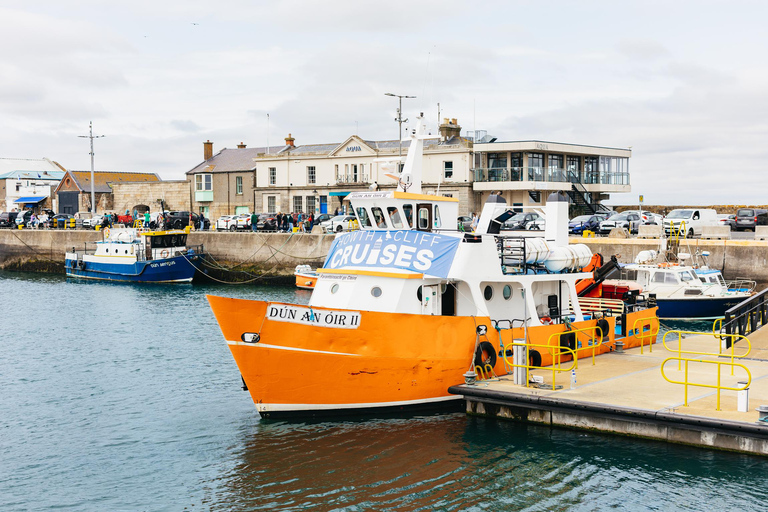 Dublin: Dublin Bay, Howth Coast and Ireland's Eye Boat Tour