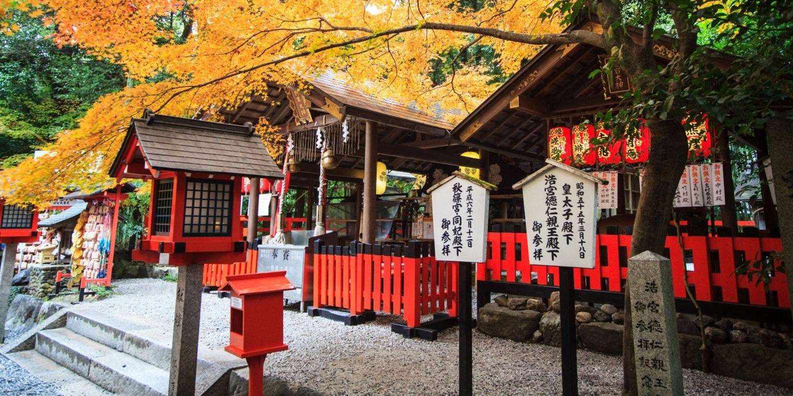 Kyoto experience — temples, geisha, bamboo grove — image 36
