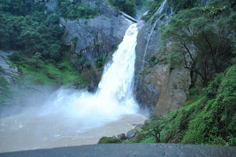 Ella :- Private TukTuk Transfer to Dunhinda Waterfalls