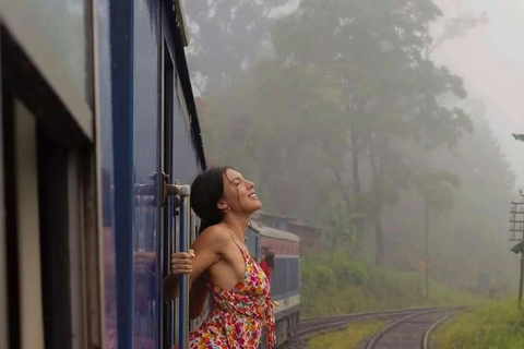Kandy: Nuwara Eliya, Ambewela Drop Tour & Ella Train journey Kandy: Nuwara Eliya, Ambewela Drop Tour by car or van