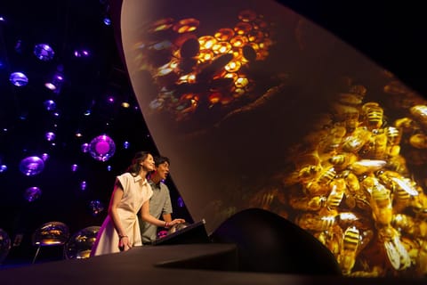 Singapore: Mandai Wildlife Reserve Exploria Entry Ticket - Image 2